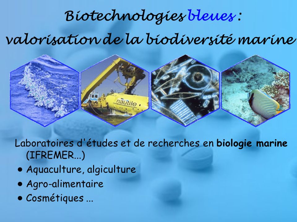 Biotechnologies bleues : valorisation de la biodiversité marine