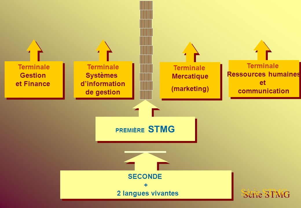 Série STMG Terminale Gestion et Finance Terminale Systèmes