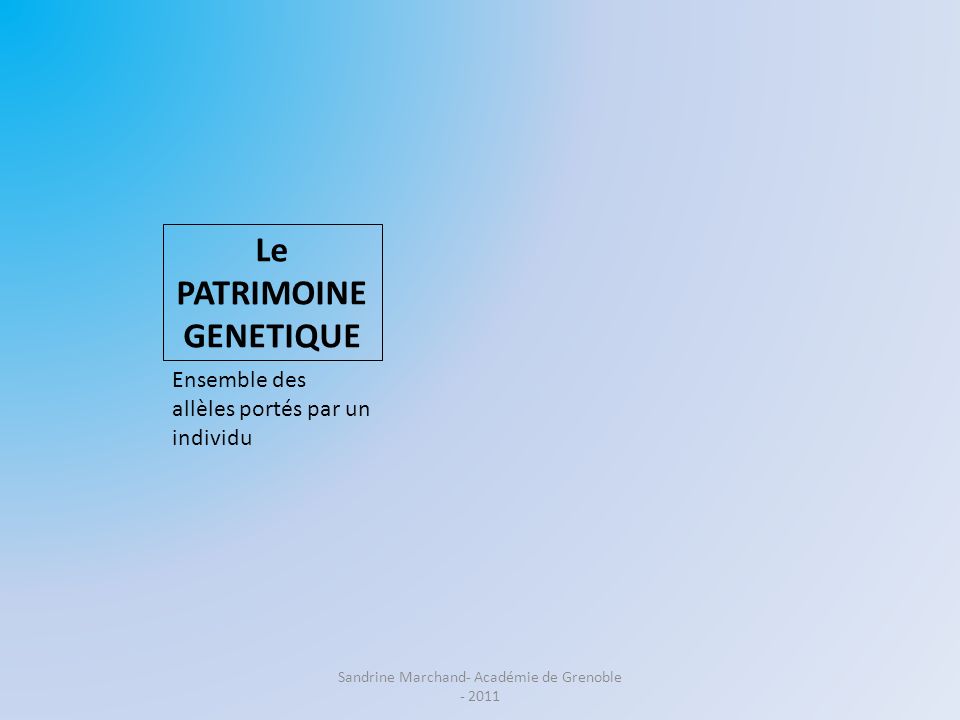 Le PATRIMOINE GENETIQUE