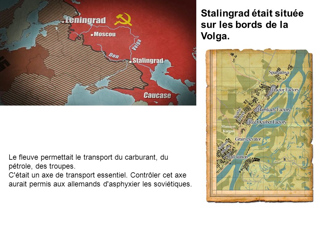 Stalingrad était située sur les bords de la Volga.