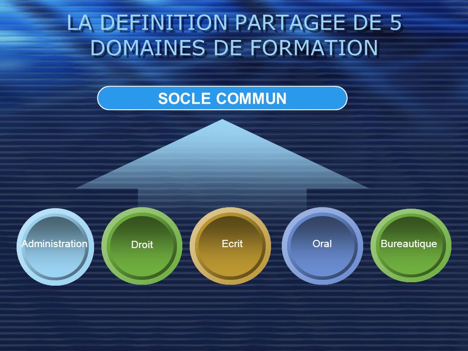 LA DEFINITION PARTAGEE DE 5 DOMAINES DE FORMATION