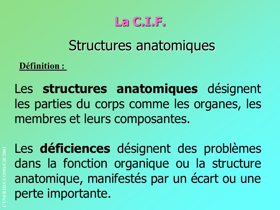 La C.I.F. Structures anatomiques