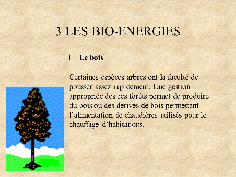 3 LES BIO-ENERGIES 1 – Le bois