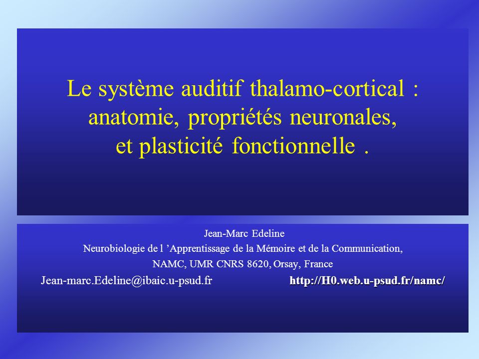 Le système auditif thalamo-cortical : anatomie, propriétés neuronales, et plasticité fonctionnelle .