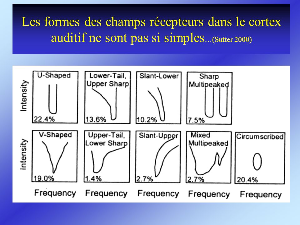 Les formes des champs récepteurs dans le cortex auditif ne sont pas si simples…(Sutter 2000)