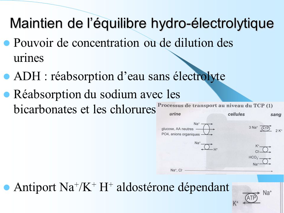 Maintien de l’équilibre hydro-électrolytique