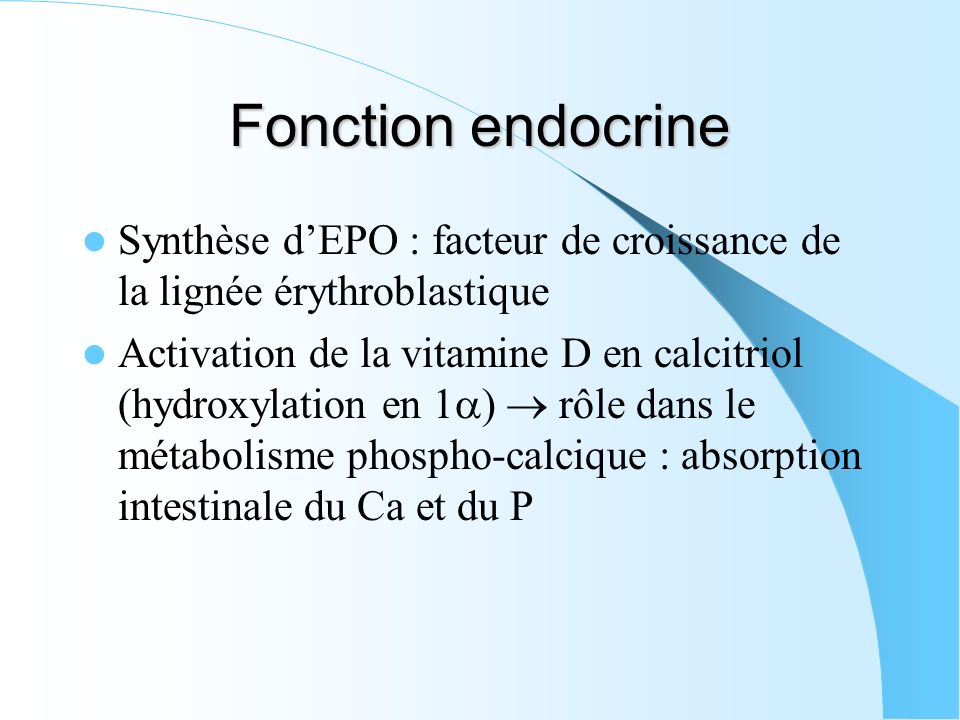 Fonction endocrine Synthèse d’EPO : facteur de croissance de la lignée érythroblastique.