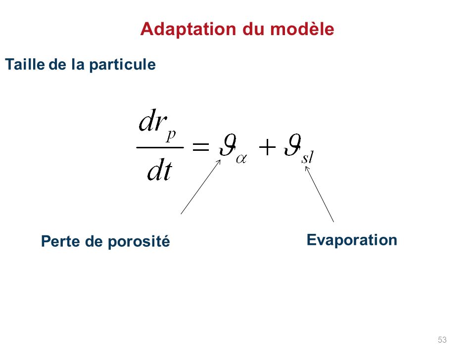 Adaptation du modèle Taille de la particule Perte de porosité