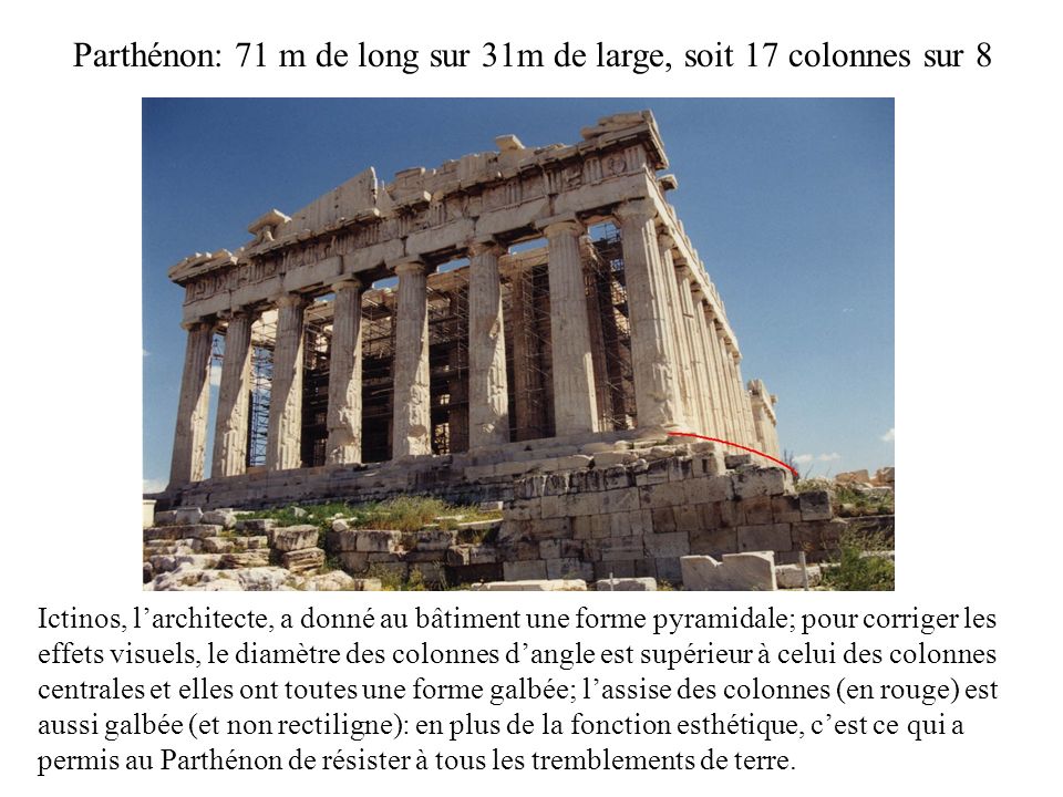Parthénon: 71 m de long sur 31m de large, soit 17 colonnes sur 8