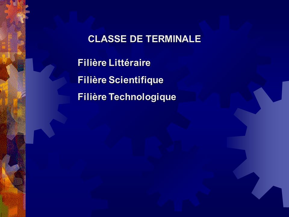 CLASSE DE TERMINALE Filière Littéraire Filière Scientifique Filière Technologique