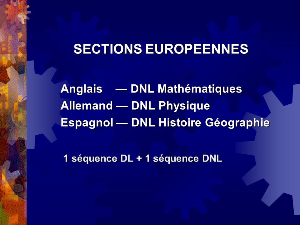 SECTIONS EUROPEENNES Anglais — DNL Mathématiques