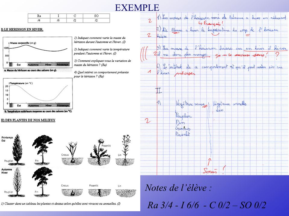 EXEMPLE Notes de l’élève : Ra 3/4 - I 6/6 - C 0/2 – SO 0/2 NB: