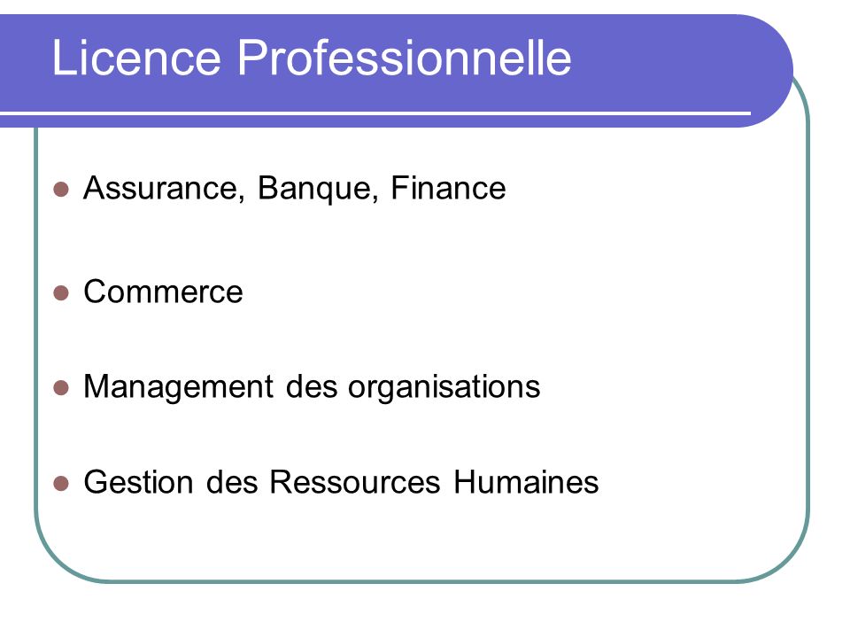 Licence Professionnelle