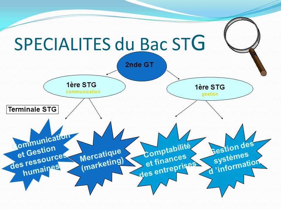 SPECIALITES du Bac STG Communication et Gestion Gestion des