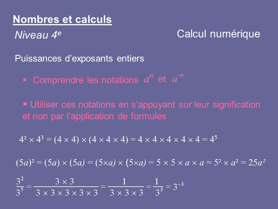 Nombres et calculs Calcul numérique Niveau 4e