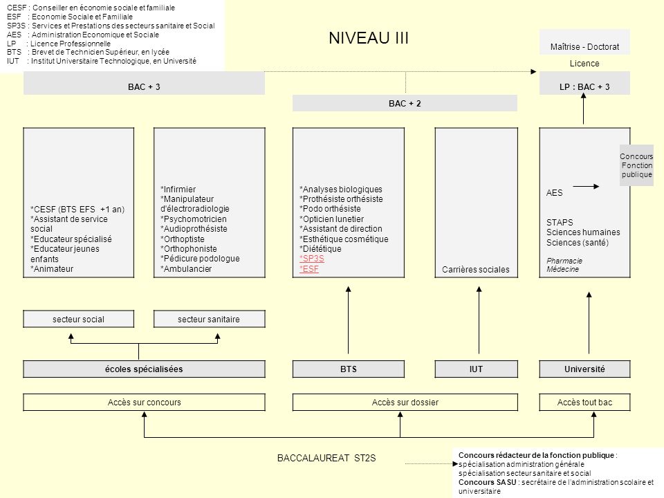 NIVEAU III BACCALAUREAT ST2S Maîtrise - Doctorat Licence BAC + 3