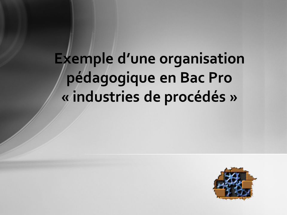 Exemple d’une organisation pédagogique en Bac Pro « industries de procédés »