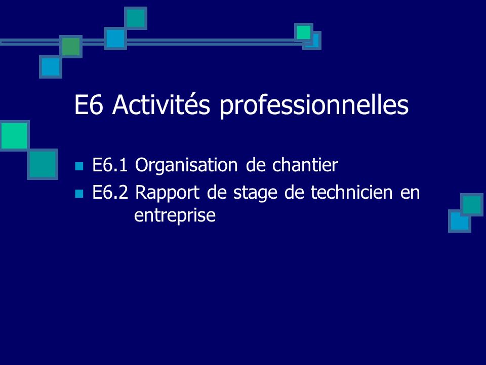 E6 Activités professionnelles