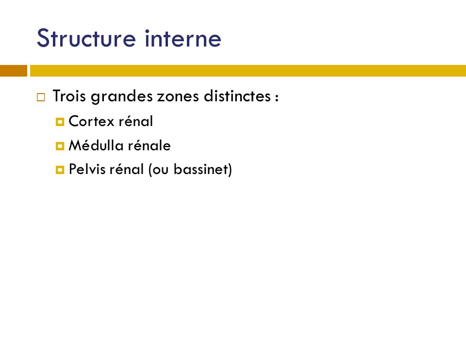 Structure interne Trois grandes zones distinctes : Cortex rénal