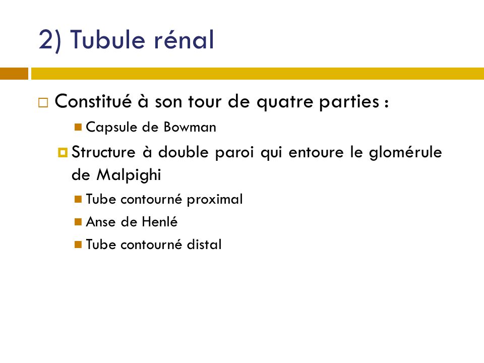 2) Tubule rénal Constitué à son tour de quatre parties :