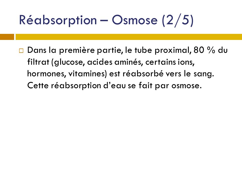 Réabsorption – Osmose (2/5)