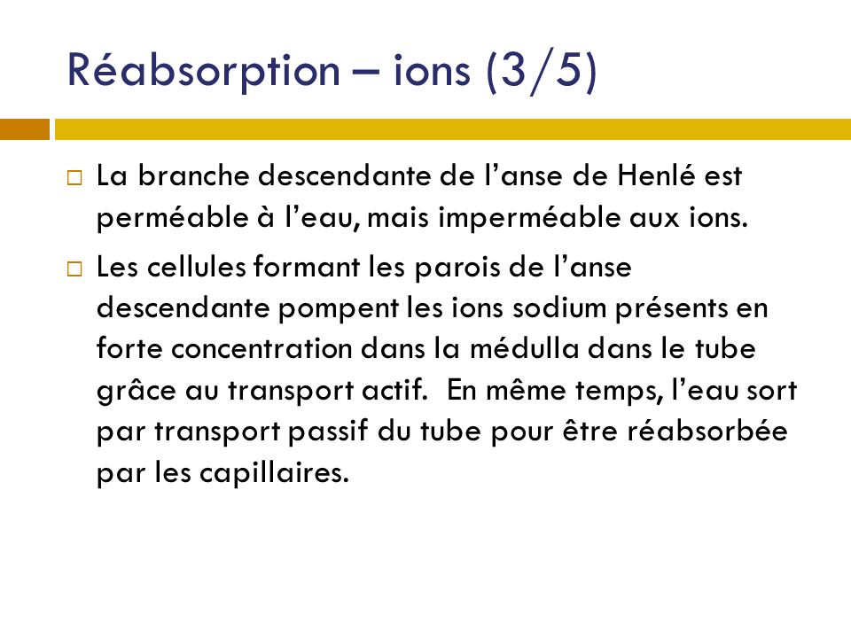 Réabsorption – ions (3/5)