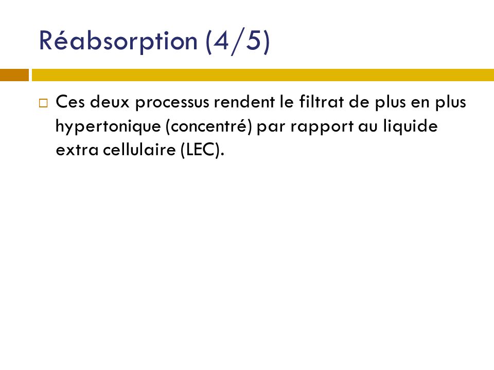 Réabsorption (4/5) Ces deux processus rendent le filtrat de plus en plus hypertonique (concentré) par rapport au liquide extra cellulaire (LEC).