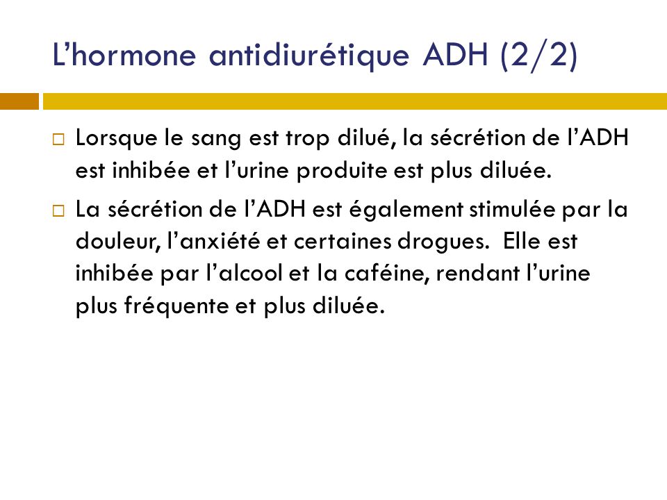 L’hormone antidiurétique ADH (2/2)