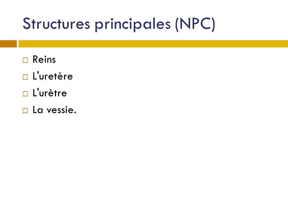 Structures principales (NPC)