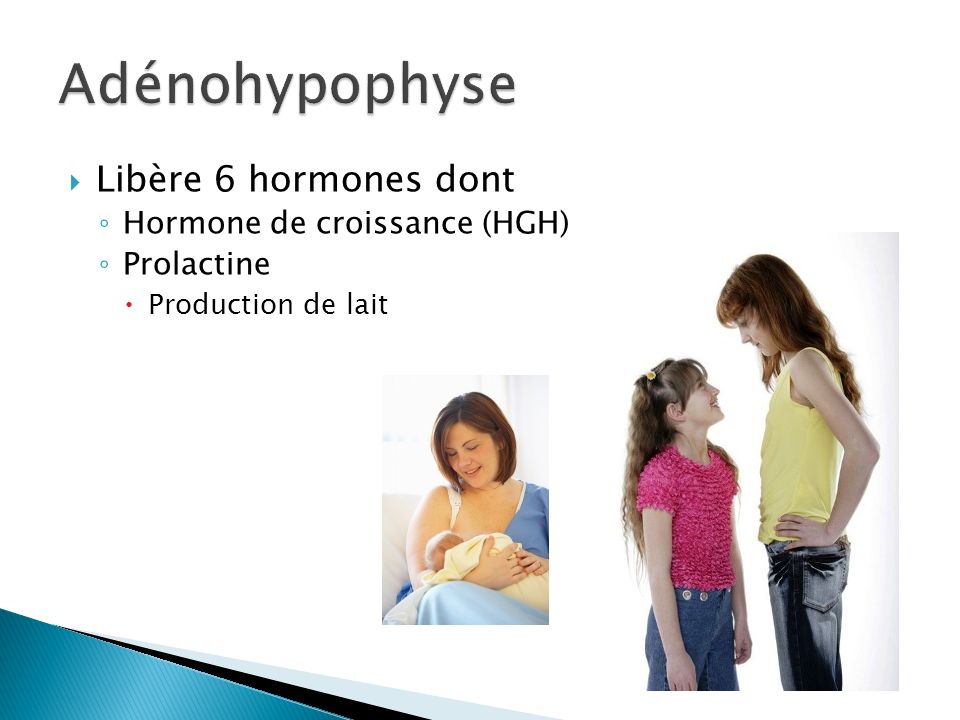 Adénohypophyse Libère 6 hormones dont Hormone de croissance (HGH)