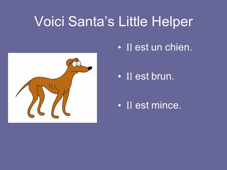 Voici Santa’s Little Helper