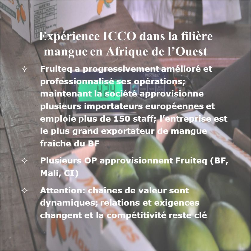 Expérience ICCO dans la filière mangue en Afrique de l’Ouest