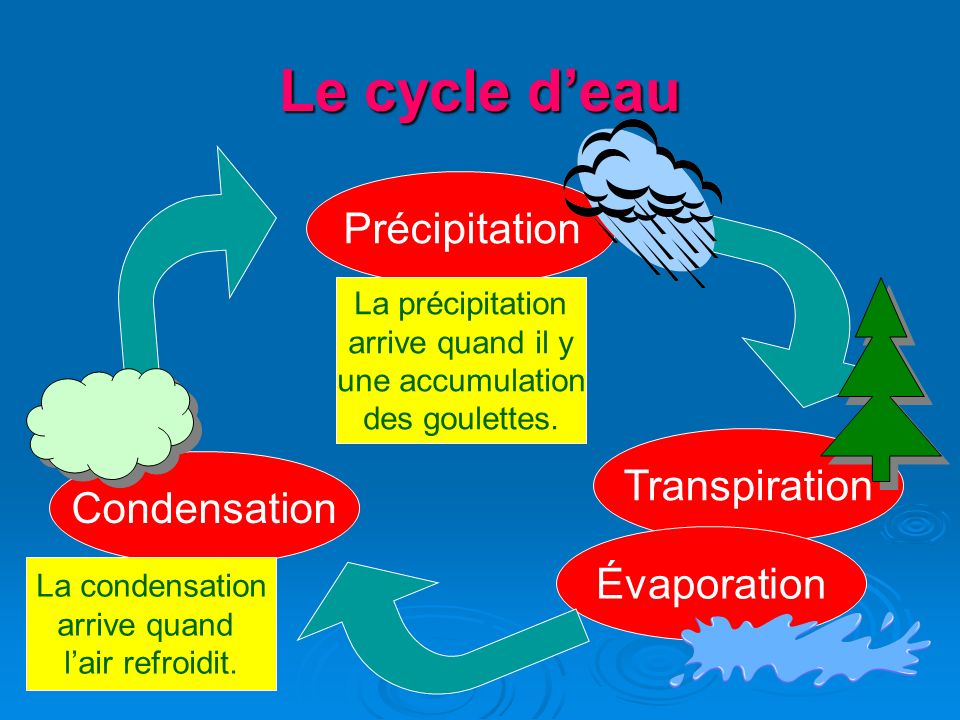 Le cycle d’eau Précipitation Transpiration Condensation Évaporation