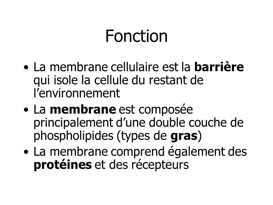 Fonction La membrane cellulaire est la barrière qui isole la cellule du restant de l’environnement.
