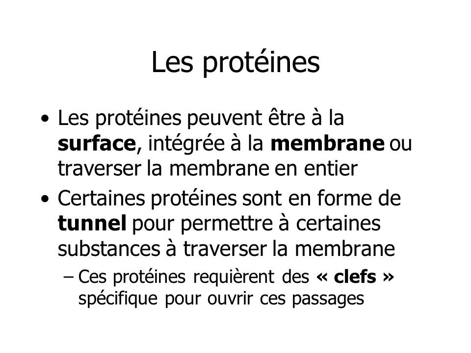 Les protéines Les protéines peuvent être à la surface, intégrée à la membrane ou traverser la membrane en entier.