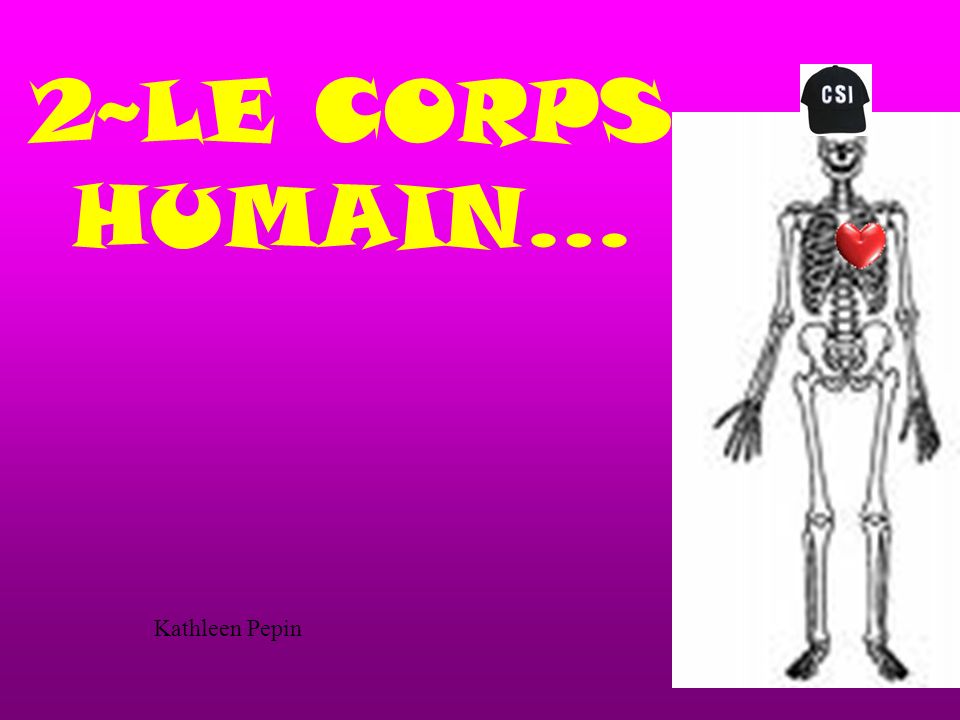 2~LE CORPS HUMAIN… Kathleen Pepin