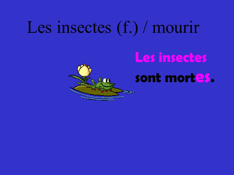 Les insectes (f.) / mourir
