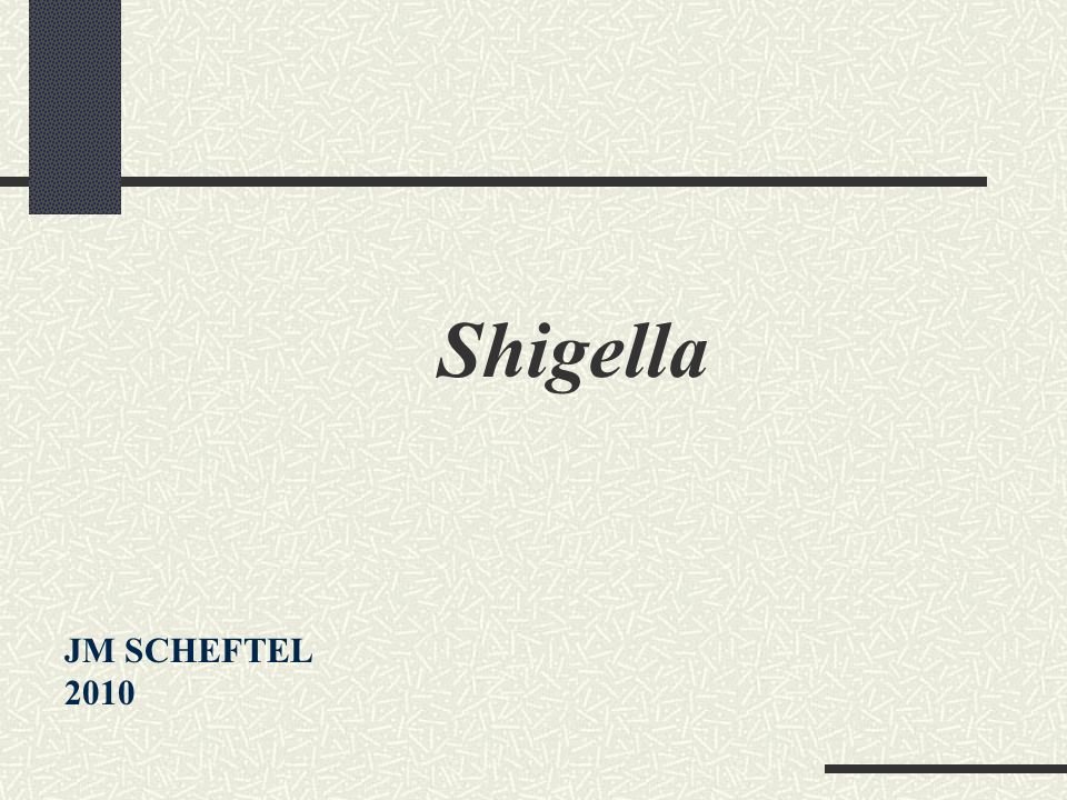 Shigella JM SCHEFTEL 2010