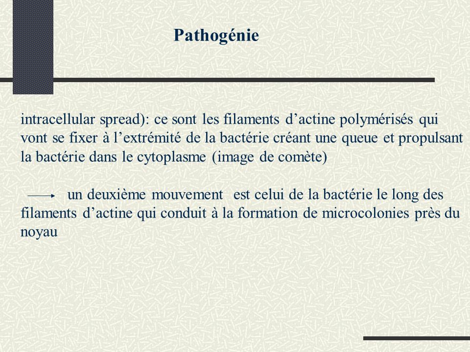 Pathogénie