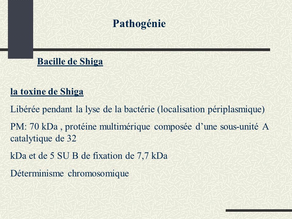 Pathogénie Bacille de Shiga la toxine de Shiga