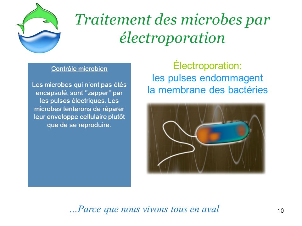 Traitement des microbes par électroporation
