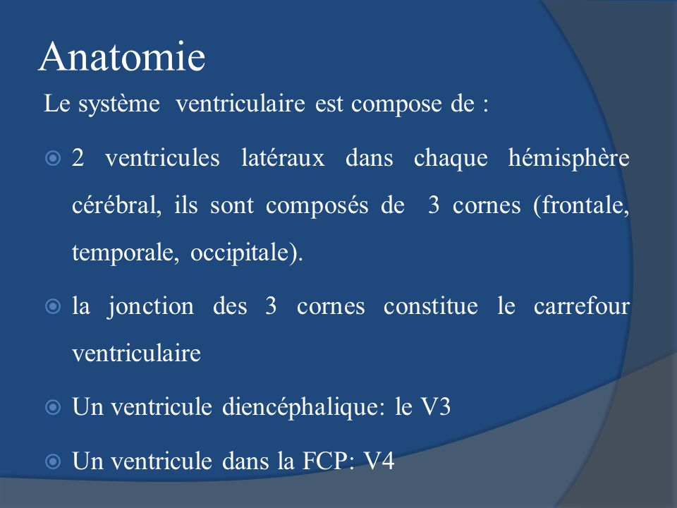 Anatomie Le système ventriculaire est compose de :