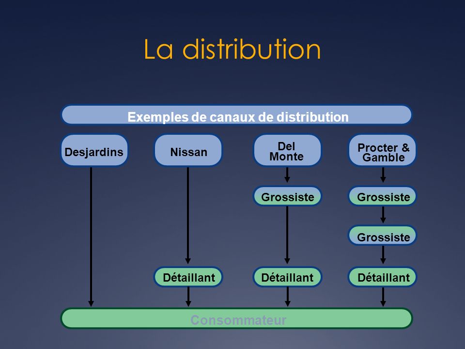 Exemples de canaux de distribution