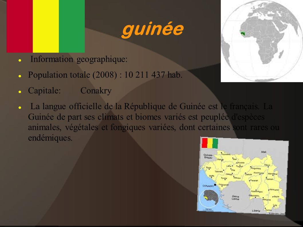 guinée Information geographique: