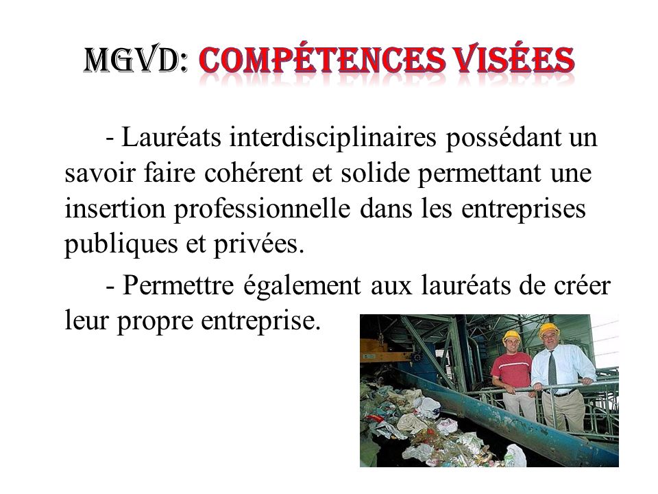 MGVD: Compétences Visées