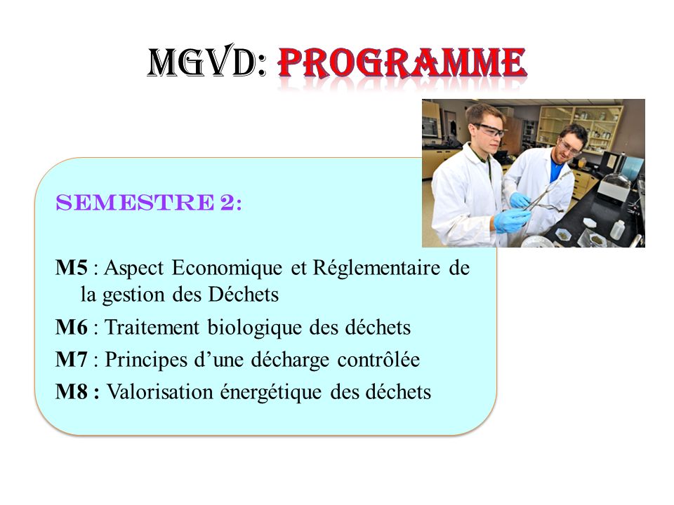 MGVD: Programme