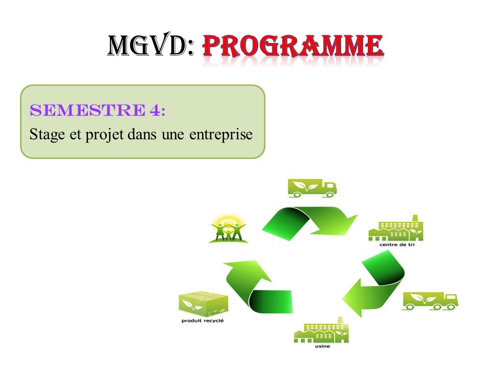 MGVD: Programme Semestre 4: Stage et projet dans une entreprise