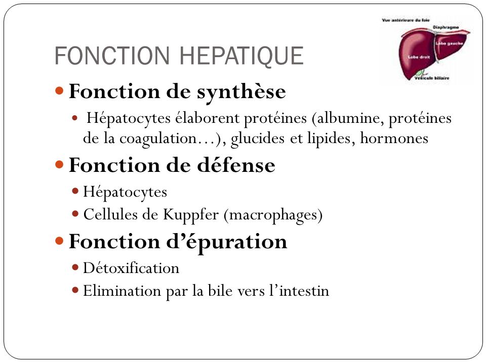 FONCTION HEPATIQUE Fonction de synthèse Fonction de défense