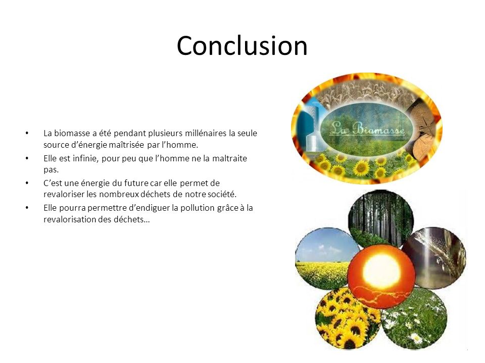 Conclusion La biomasse a été pendant plusieurs millénaires la seule source d’énergie maîtrisée par l’homme.