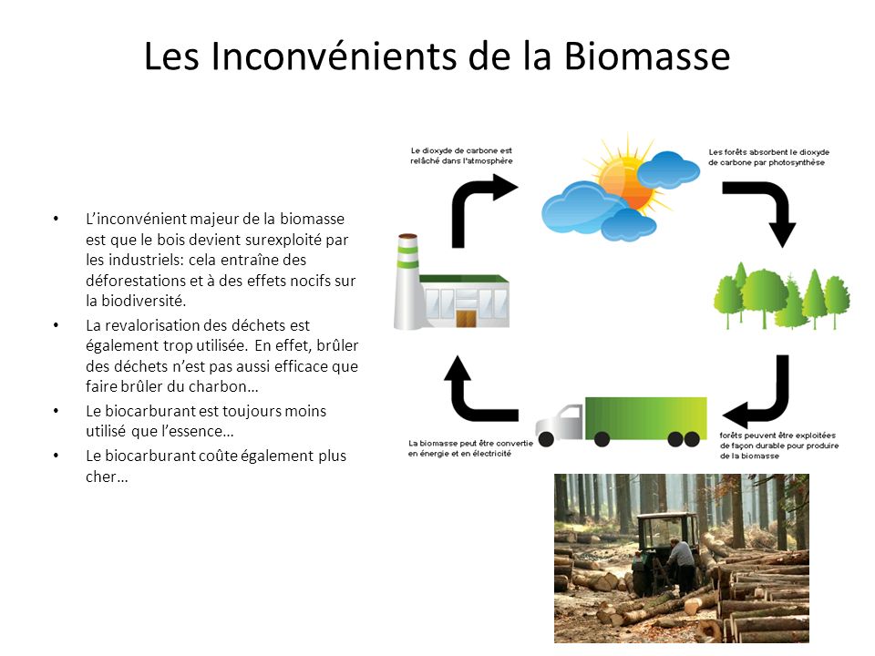 Les Inconvénients de la Biomasse